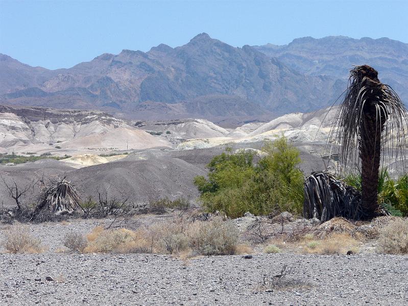 Furnace Creek P1020729.jpg